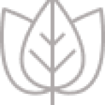 about-eco-icon